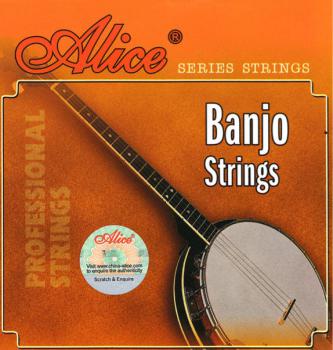 Saiten für Banjo 5 Strings